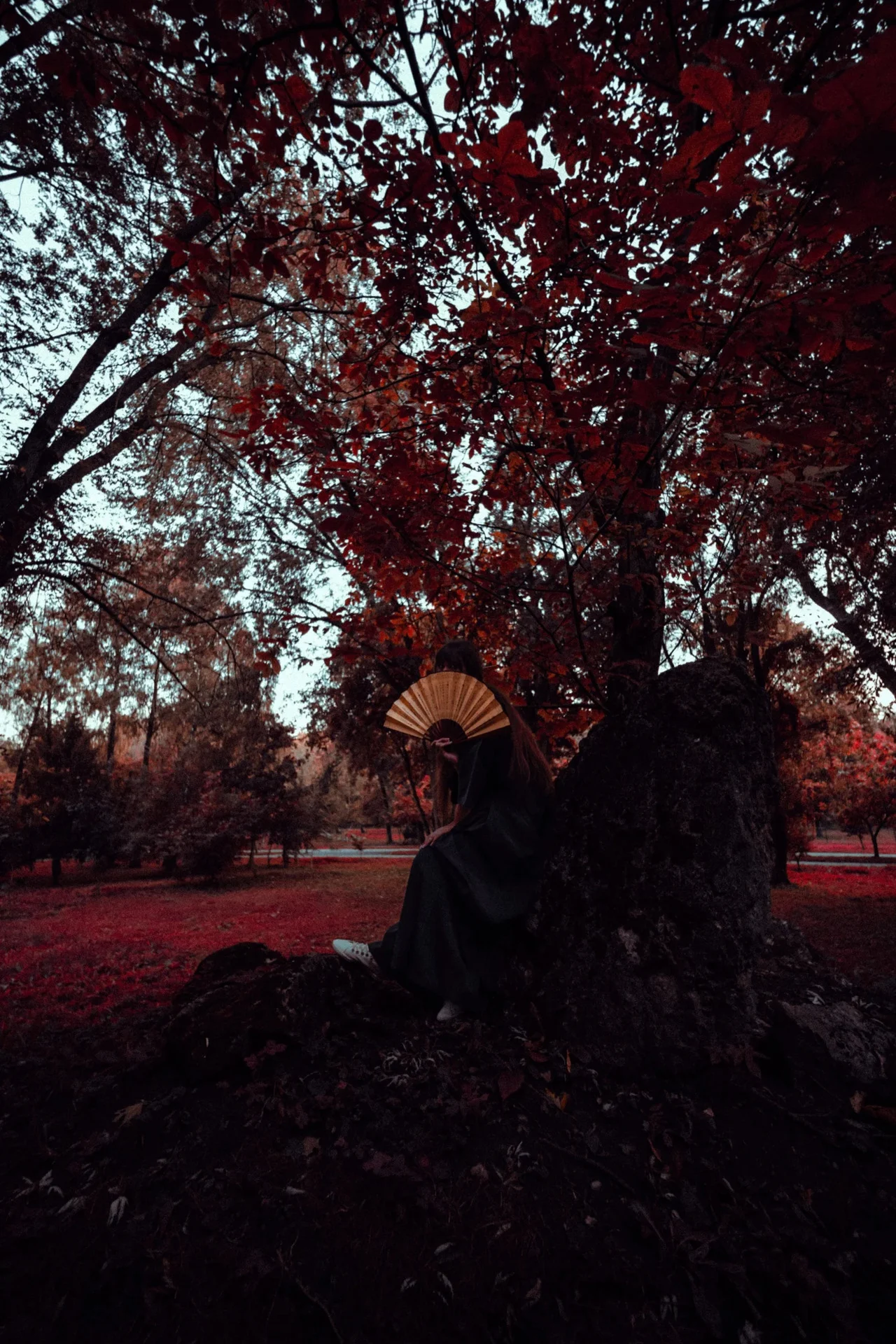 DSC08026.webp
